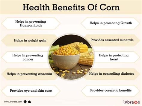 Corn Benefits And Its Side Effects Lybrate