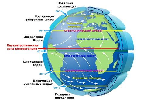 Ветер что это такое как образуется виды сила ветра фото и видео
