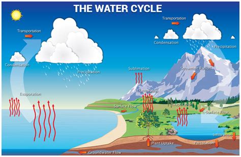 What Is Condensation Water Cycle