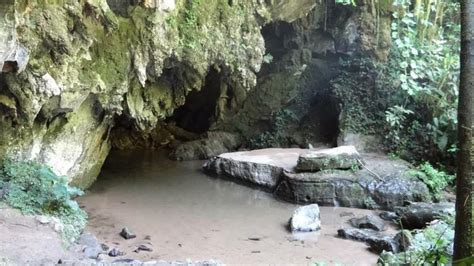 Caverna Gua Suja Petar Iporanga Sp Brasil Variedades