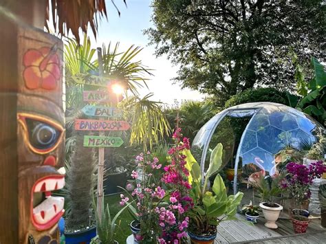 Tropical Greenhouse Lighting What Is A Greenhouse Greenhouse
