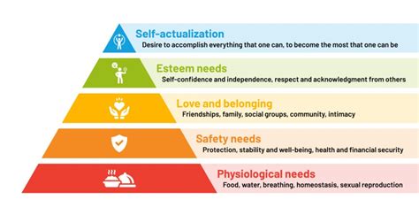 Maslow S Hierarchy Of Needs 2024