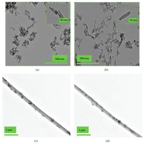 Coatings Free Full Text Chemical Bonding Of Biomolecules To The