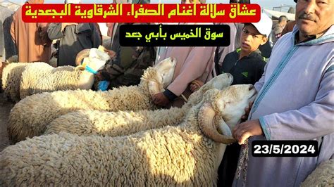 اليوم من سوق الخميس بأبي الجعد 2352024 مع تمن حولي العيد🐏🐑🇲🇦 Youtube