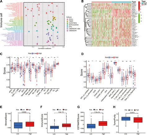 Frontiers Establishment Of A Necroptosis Related Prognostic Signature