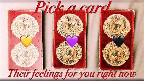 Their Feelings For You Right Now Pick A Card Timeless Youtube