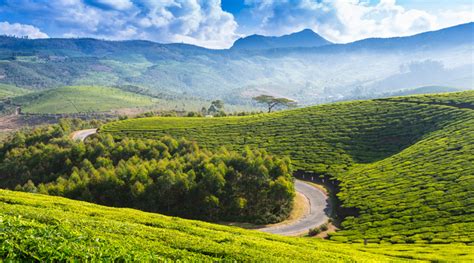 Munnar Ooty Kodaikanal Tour Package Waytoindia