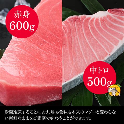 本マグロ まぐろ 中トロ 約500g・赤身 約600gセット 鮪 海鮮丼 刺し身 刺身 盛り合わせ 冷凍 魚の刺身 大分県産 九州産 津久見市