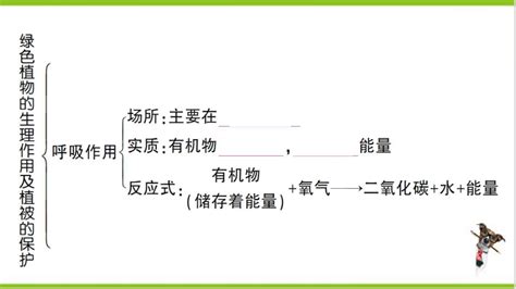 【掌控课堂 创优作业】人教版生物七上第三单元 第三~六章总结训练 课件版 21世纪教育网