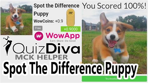 Quiz Diva Spot The Difference Puppy 🐕 Spot The Different Dog Answers ️