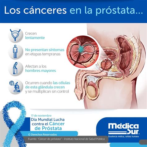 Pin En Trabajo