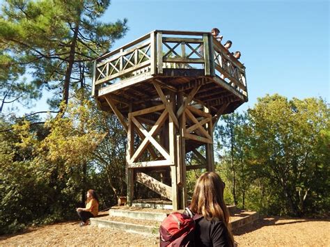 vendee imaginez le nouvel observatoire de la faune sauvage du pey de