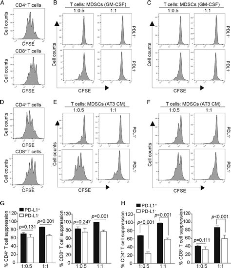 Figure 2 From IFNAR1 Controls Autocrine Type I IFN Regulation Of PD L1