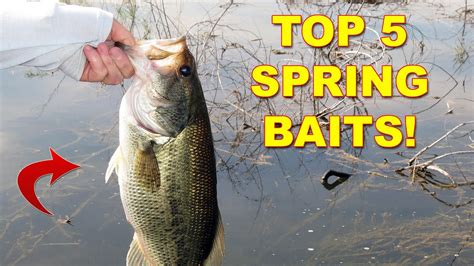 5 Best Lures For Spring Bass Fishing How To Bass Fishing Youtube