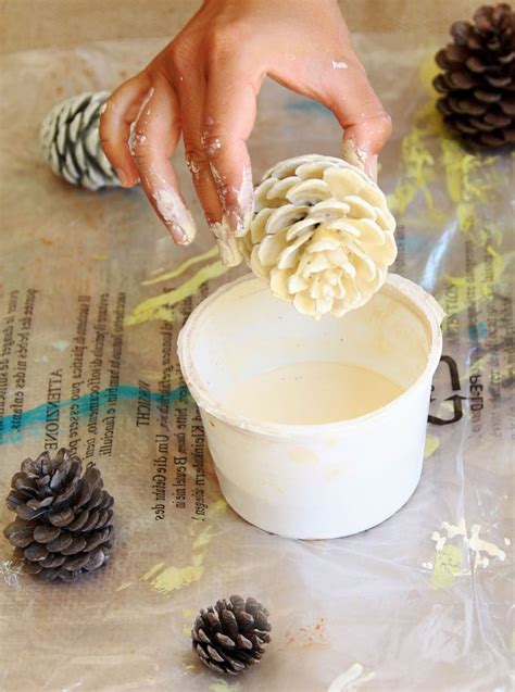 Bleach Pinecones Painted Pinecones Cones Crafts Pine Cone Crafts