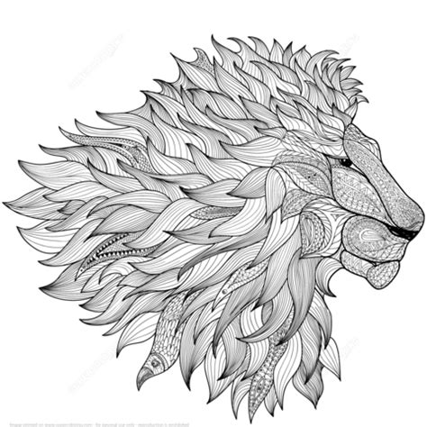 Lion Zentangle coloring page | Free Printable Coloring Pages