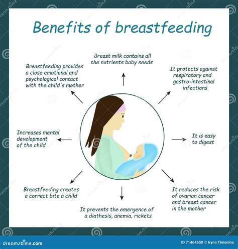 The Benefits Of Breastfeeding World Breastfeeding Week Stock Vector