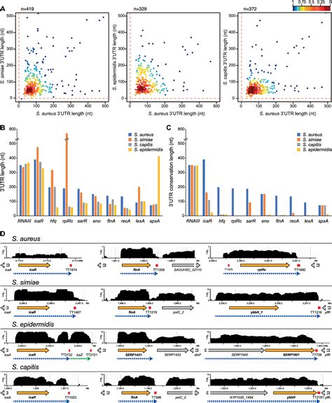 Figure From Differential Evolution In Utrs Leads To Specific Gene