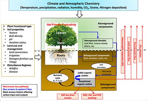 Framework Of Major Processes And Controls For Soil Organic Carbon