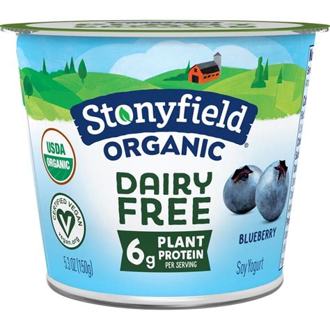 Stonyfield® Organic Dairy Free Blueberry Soy Yogurt (5.3 oz) - Instacart