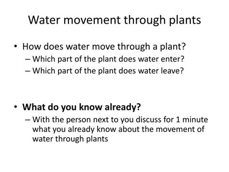 PPT - Water movement through plants PowerPoint Presentation, free ... 