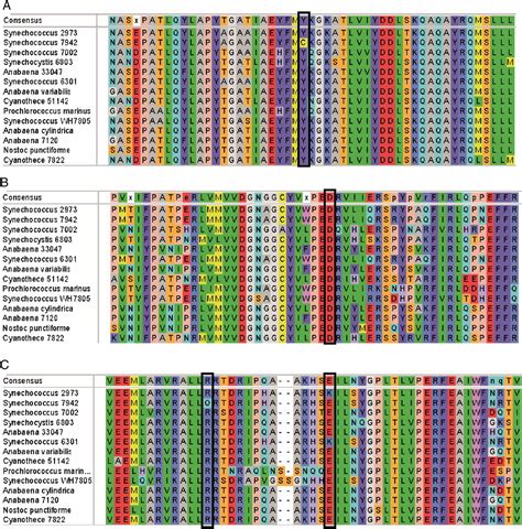 Comparative Genomics Reveals The Molecular Determinants Of Rapid Growth