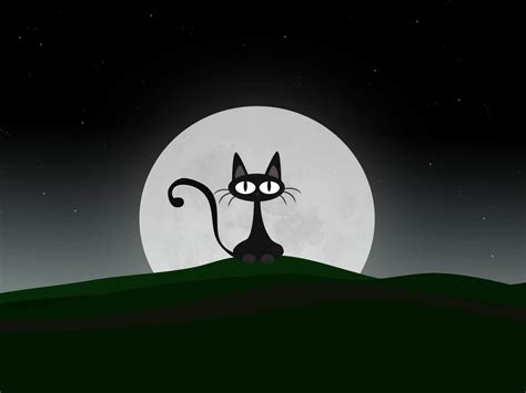 Funny Cartoon Cat 16 Background Wallpaper