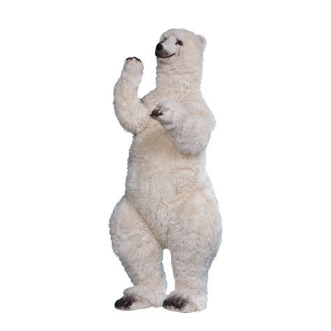 Polar Bear Standing On Hind Legs