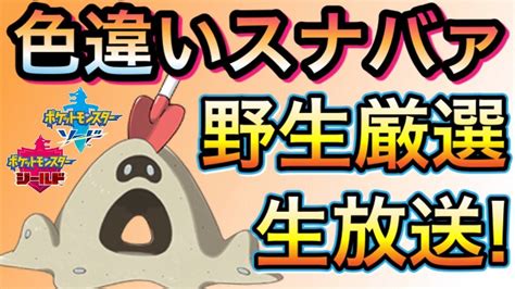 【ポケモン剣盾】初見さん大歓迎‼野生の色違いスナバァ厳選生放送♬ 3 Youtube