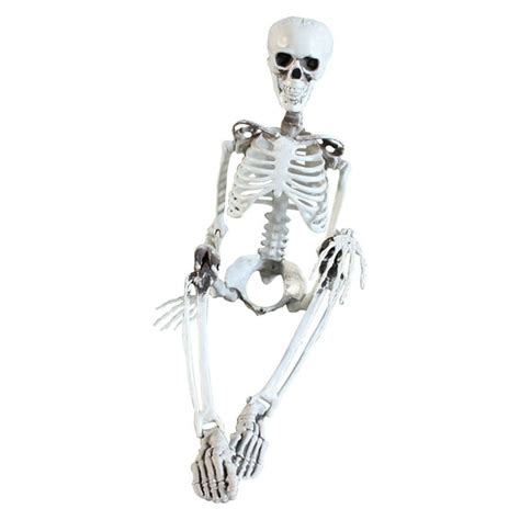 Halloween Skeleton Prop Deco Halloween Skeleton Life Size Full Body