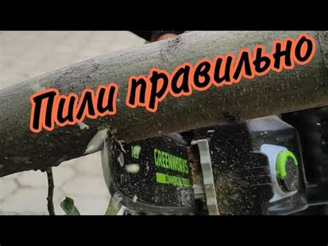 Как правильно пилить бензопилой или любой цепной пилой? Когда пилить ...
