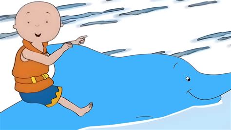 Caillou Rides A Dolphin Caillou Cartoon YouTube