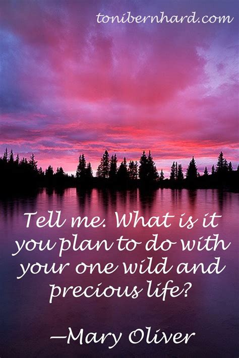 Tell Me What Is It You Plan To Do With Your One Wild And Precious