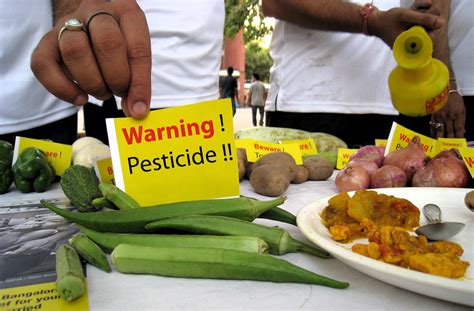 Natural Remedies: Fruits and Vegetables That Help Reduce Anxiety - Hunter Games Magazine