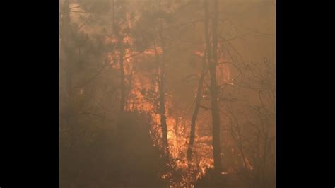 N J Forest Recovers From Massive 13 500 Acre Wildfire Youtube