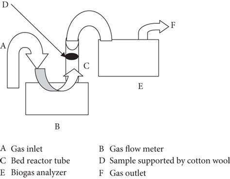 Schematic Diagram Of The Adsorption Experiment Download Scientific