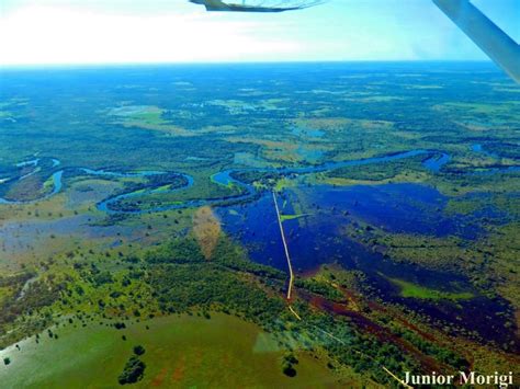 Como Chegar No Pantanal Do Mato Grosso Do Sul Turismo De Natureza