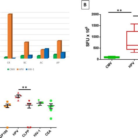 Ex Vivo Immunization With Paired Peptides Pbmcs From Hla A 02 01 Download Scientific Diagram