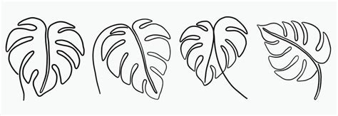 Leaf Drawing Vector Art, Icons, and Graphics for Free Download