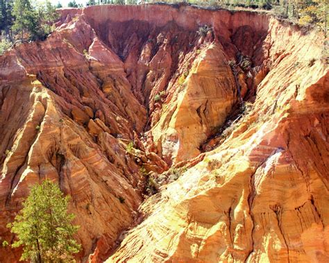 A Little Known Natural Wonder Red Bluff Aka Mississippis Little