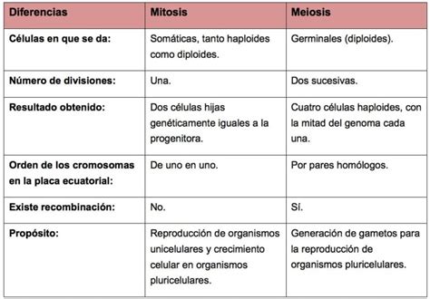 Cuadro Comparativo Es Un Organizador Grafico Kulturaupice Porn Sex