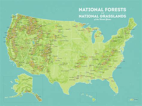 US National Forests Map 18x24 Poster - Best Maps Ever