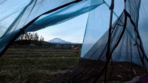 Zpacks Plex Solo Lite Tent Review The Trek