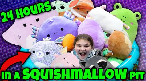 24 Hours In A Squishmallow Pool Carlaylee HD 24 Hour Challenge YouTube