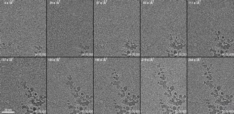 Observing beam-induced dendritic growth over two different timescales ...