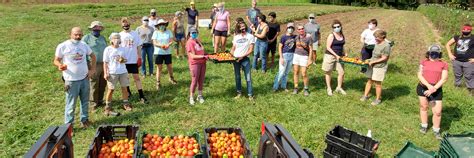 Our Valiant Volunteers In Action Rolling Harvest Food Rescue