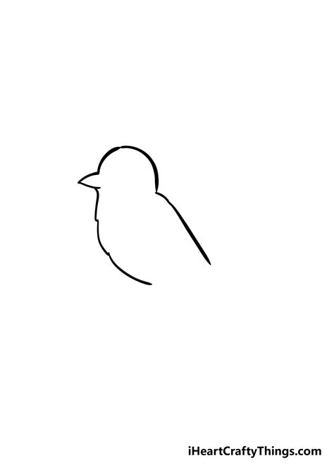 Bird Drawing - How To Draw A Bird Step By Step!