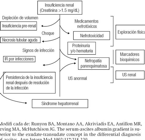 Síndrome Hepatorrenal Síntomas Causas Y Tratamiento