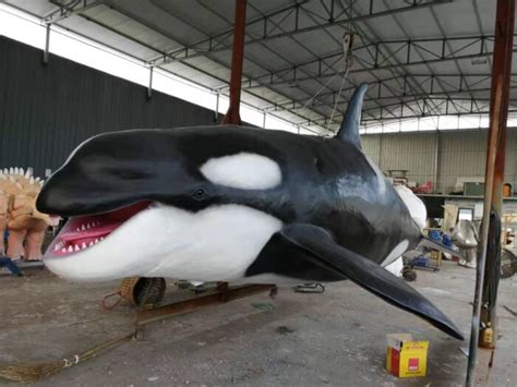 Animatronic Orcinus Orca Ccaa 028 Produce Animatronic Artworks For