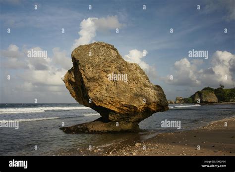 Eroded rocks on beach at Bathsheba Barbados Stock Photo - Alamy